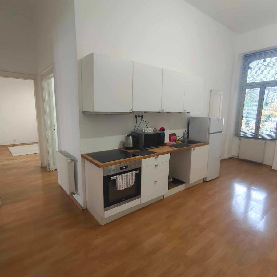 Large 4 Room Apartment In The Center Of Виена Екстериор снимка